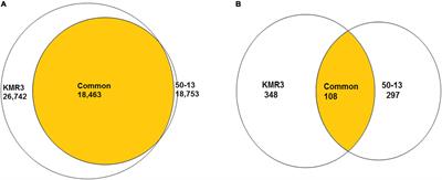 Whole-Genome Sequencing of KMR3 and Oryza rufipogon-Derived Introgression Line IL50-13 (Chinsurah Nona 2/Gosaba 6) Identifies Candidate Genes for High Yield and Salinity Tolerance in Rice